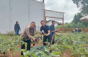 Tak Hanya Pembinaan Mental, Rutan Palembang Bekali Warga Binaan Tanam Terong di SAE Tak Hanya Pembinaan Mental, Rutan Palembang Bekali Warga Binaan Tanam Terong di SAE