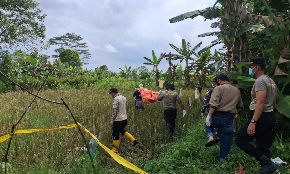 Mayat Perempuan Tanpa Identitas Membusuk di Tepi Sawah, Warga Merah Mata Gempar⠀ Mayat Perempuan Tanpa Identitas Membusuk di Tepi Sawah, Warga Merah Mata Gempar ⠀