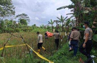 Mayat Perempuan Tanpa Identitas Membusuk di Tepi Sawah, Warga Merah Mata Gempar⠀ Mayat Perempuan Tanpa Identitas Membusuk di Tepi Sawah, Warga Merah Mata Gempar ⠀