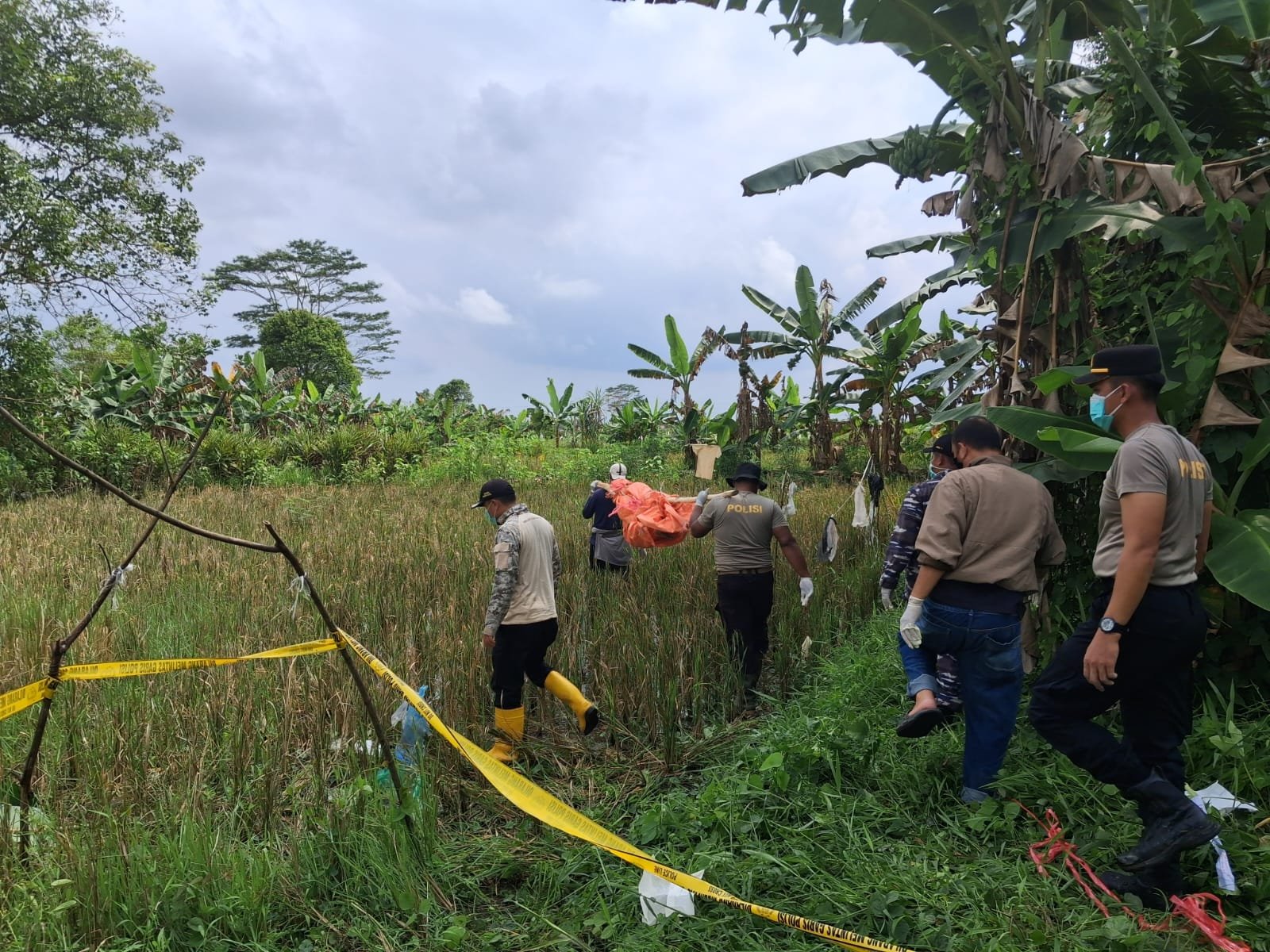 Mayat Perempuan Tanpa Identitas Membusuk di Tepi Sawah, Warga Merah Mata Gempar⠀ Mayat Perempuan Tanpa Identitas Membusuk di Tepi Sawah, Warga Merah Mata Gempar ⠀