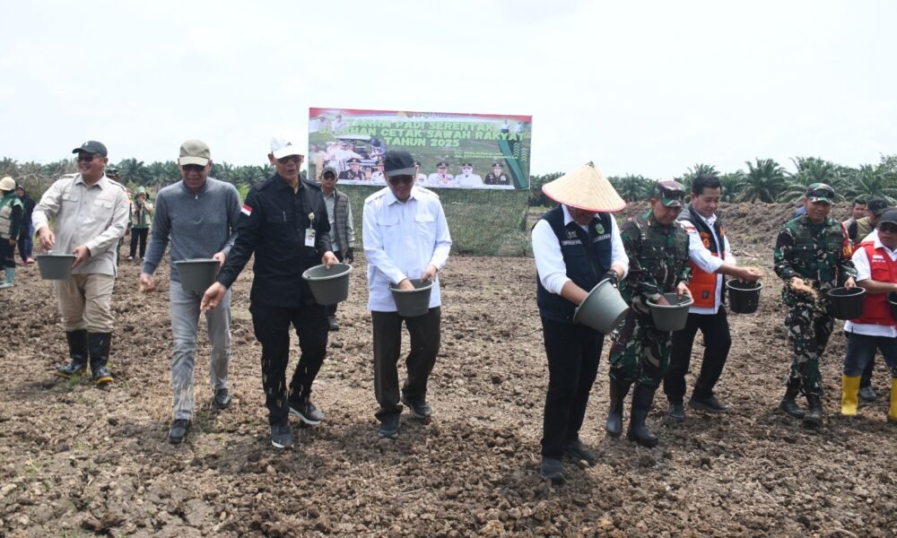Sinergi TNI dan Pemerintah, Tanam Padi Bersama Gubernur Sumsel di Desa Sungai Dua Banyuasin Sinergi TNI dan Pemerintah, Tanam Padi Bersama Gubernur Sumsel di Desa Sungai Dua Banyuasin