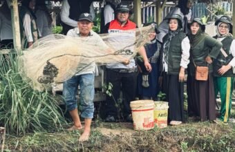 Budidaya Ikan ‘Karo Mamang’ Gerakkan Ekonomi Kelurahan Mangunjaya Budidaya Ikan 'Karo Mamang' Gerakkan Ekonomi Kelurahan Mangunjaya