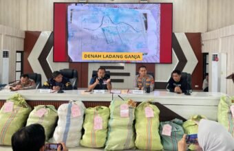 Bongkar Ladang Ganja di Empat Lawang, Polda Sumsel Tangkap Bandar Jaringan Lintas Provinsi hingga Jawa Bongkar Ladang Ganja di Empat Lawang, Polda Sumsel Sita 220 Kg Ganja, Jaringan Lintas Provinsi hingga Jawa
