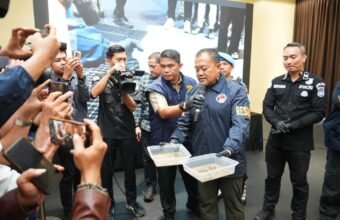 Sindikat Ladang Ganja 20 Hektar di Empat Lawang Dibongkar, 220 Kg Ganja Disita Sindikat Ladang Ganja 20 Hektar di Empat Lawang Dibongkar, 220 Kg Ganja Disita