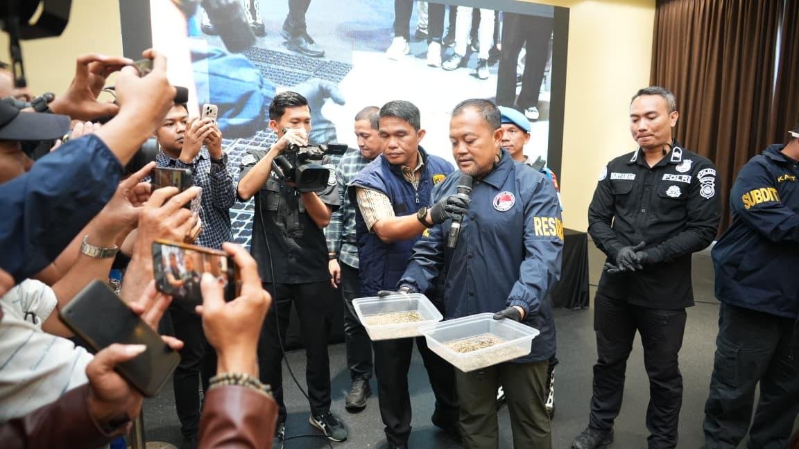 Sindikat Ladang Ganja 20 Hektar di Empat Lawang Dibongkar, 220 Kg Ganja Disita Sindikat Ladang Ganja 20 Hektar di Empat Lawang Dibongkar, 220 Kg Ganja Disita