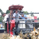 Sinergi Lintas Sektor, Kapolda Sumsel Pimpin Panen Raya Jagung dan Dorong Swasembada Pangan
