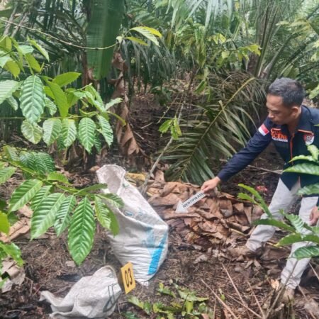 Polisi Ungkap Kasus Pembunuhan Modus Amuk Massa di OKU Selatan, Satu Pelaku Ditangkap Polisi Ungkap Kasus Pembunuhan Modus Amuk Massa di OKU Selatan, Satu Pelaku Ditangkap