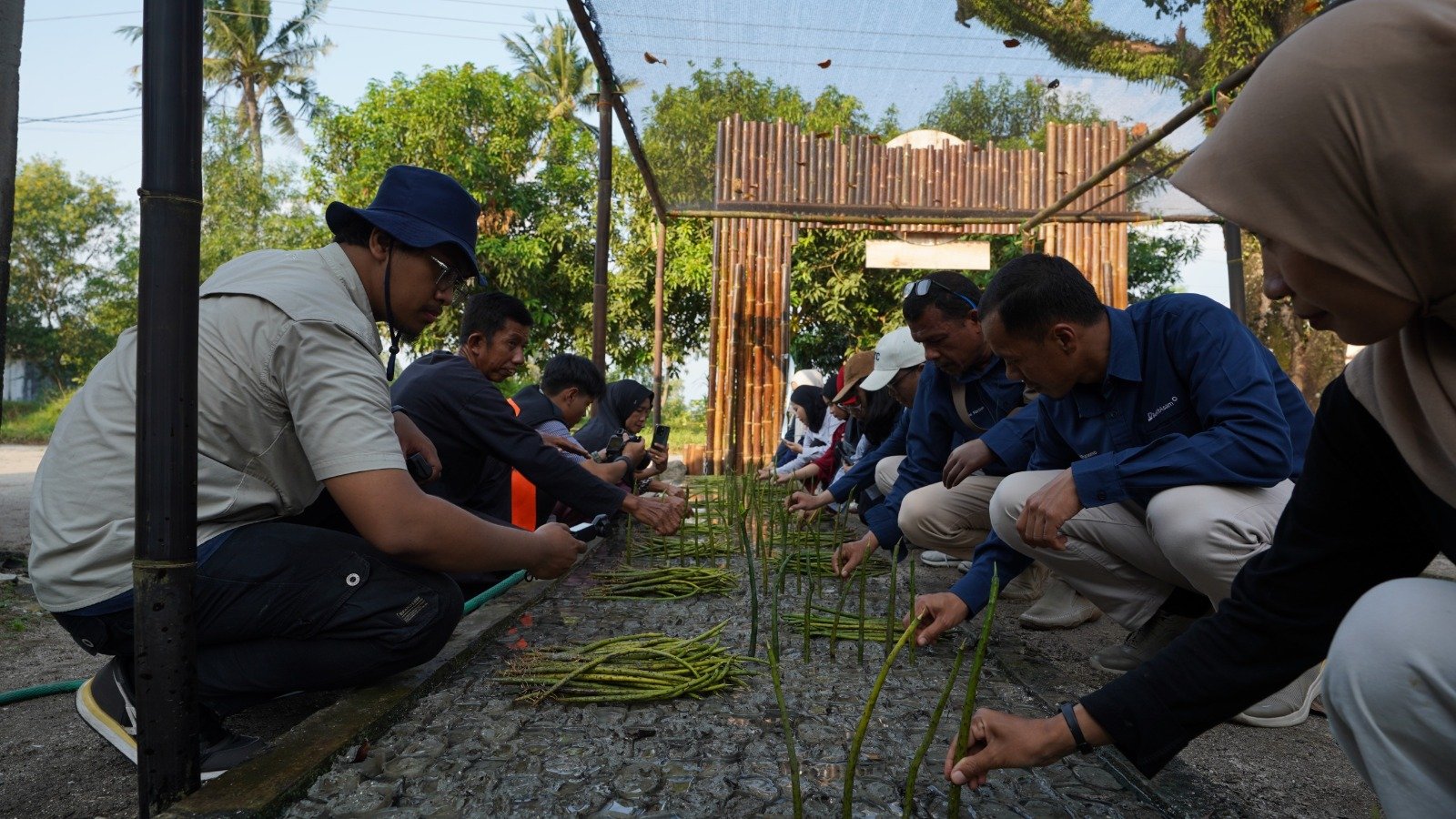 PTBA Resmikan NUSA di Pasir Sakti, Perkuat Rehabilitasi Mangrove Berbasis Masyarakat