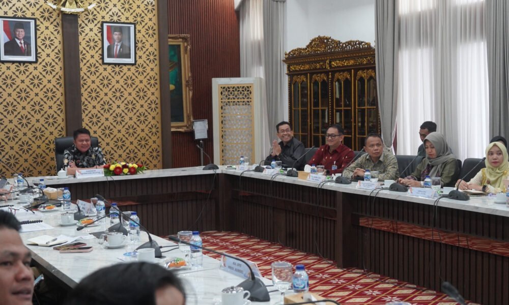 TPAKD Sumsel Lolos Virtual Assessment TPAKD Award 2026, Herman Deru Andalkan Program 100.000 Sultan Muda