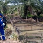 Layanan BPJS Kesehatan Jangkau Penduduk Daerah 3T