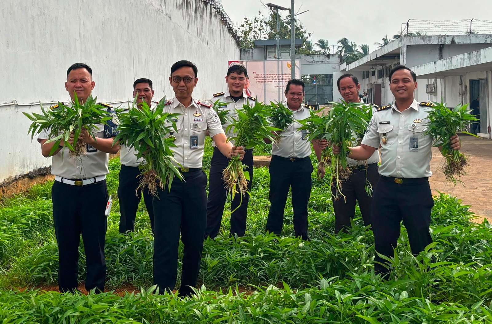 Perkuat Program Ketahanan Pangan Nasional, Rutan Palembang Panen Puluhan Kilogram Kangkung