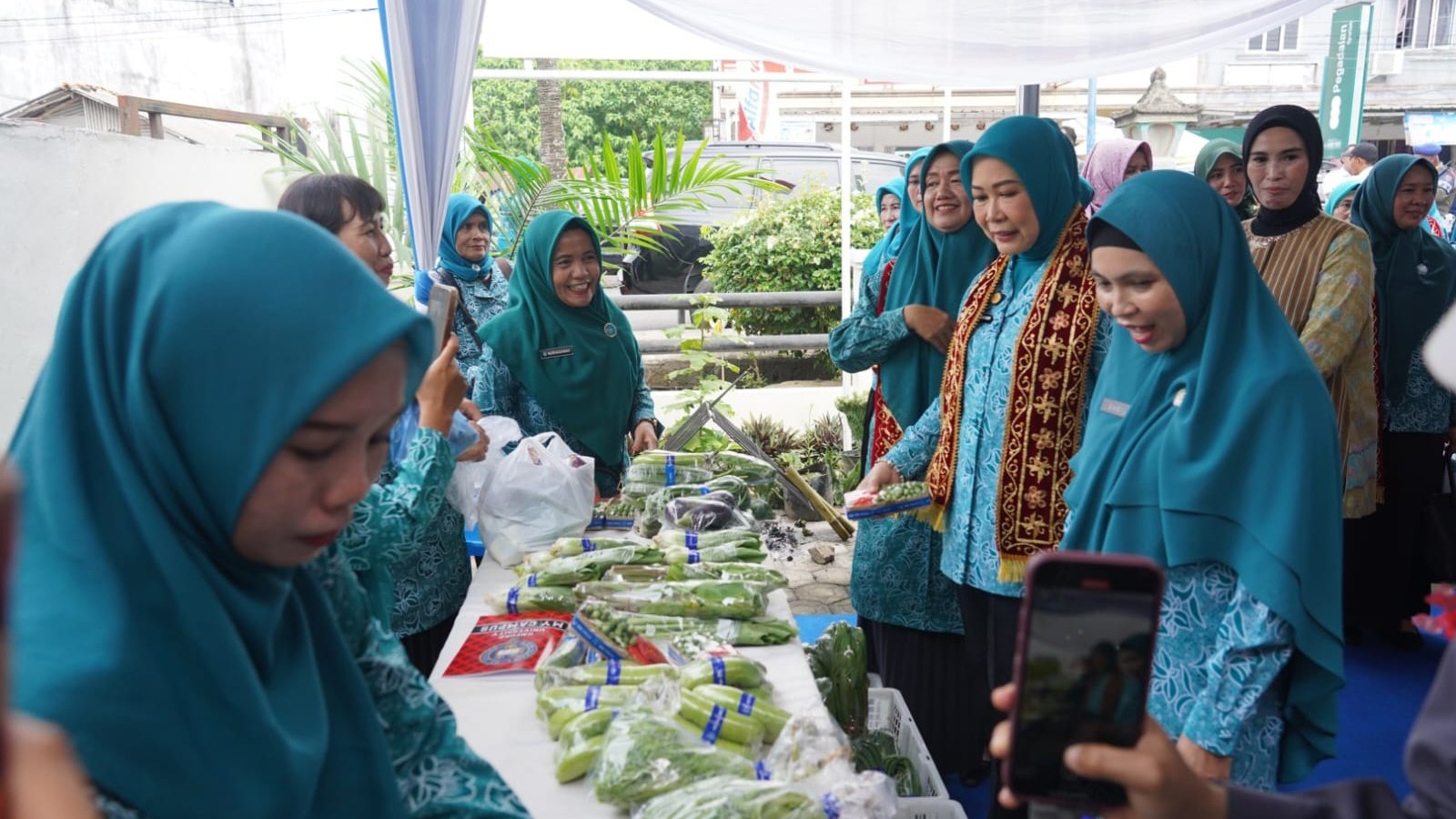 Ketua TP PKK Provinsi Sumatera Selatan, Feby Herman Deru, tampak berjongkok memetik dan memanen hasil budidaya yang dikelola ibu-ibu PKK bersama warga. (Foto: Yulie)
