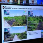 Sekda Edward Candra Tegaskan Sumsel Siap Dukung Ekstensifikasi Sawit Nasional, Potensi Lahan Capai 66 Ribu Hektare